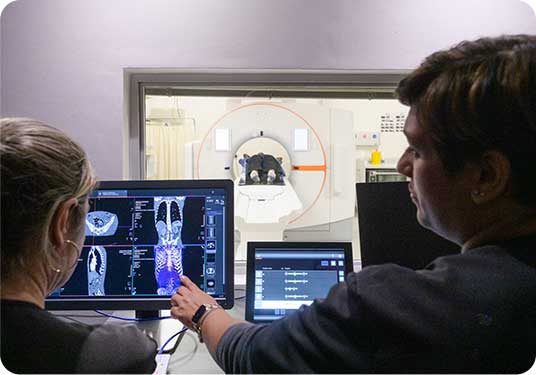CT scan radiation safety
